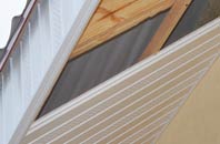 rated Goodnestone soffit repair companies